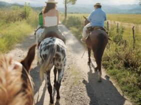 Paseo a caballo para 2 o 4