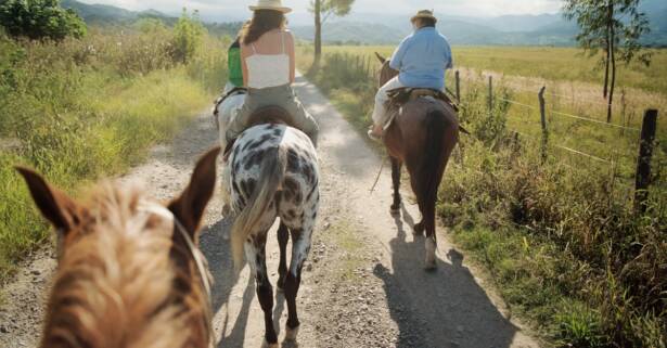 Paseo a caballo para 2 o 4