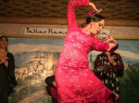 ¡Vive la pasión! Espectáculos de flamenco en Granada