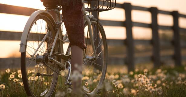 Ruta en bicicleta entre viñedos por la zona de Jumilla para 2 o 4