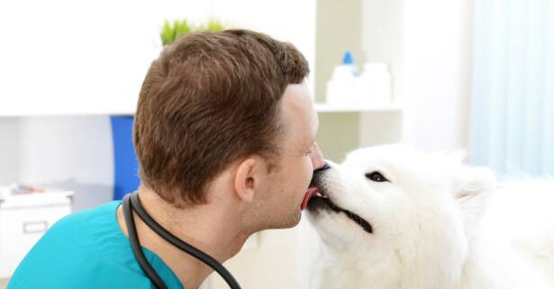 ¡Mascotas felices! Higiene bucal y de encías para perro o gato