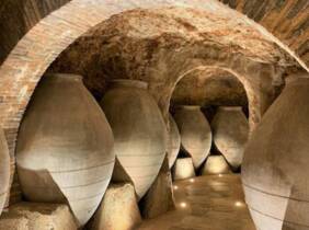 Visita a bodega con degustación de vinos en Bodega Pedro García