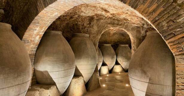 Visita a bodega con degustación de vinos en Bodega Pedro García